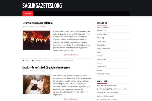 Hiero theme site design template sample