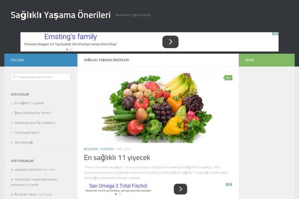Hueman theme site design template sample