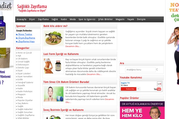 Wpt theme site design template sample