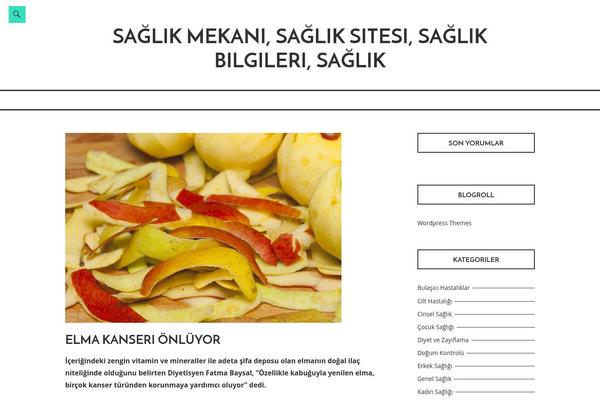 saglikmekani.net site used Totomo