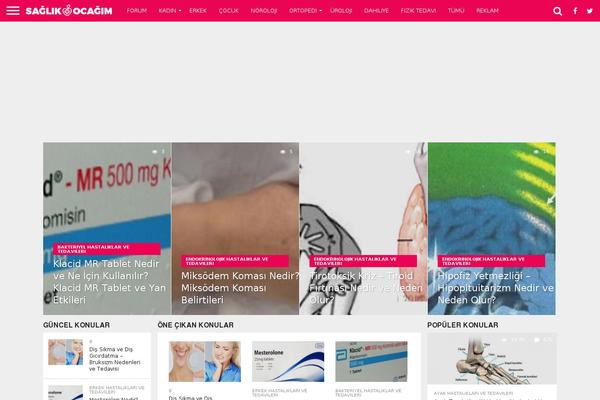Flex Mag theme site design template sample
