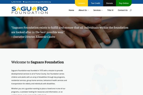 Site using Wp-performance-score-booster plugin