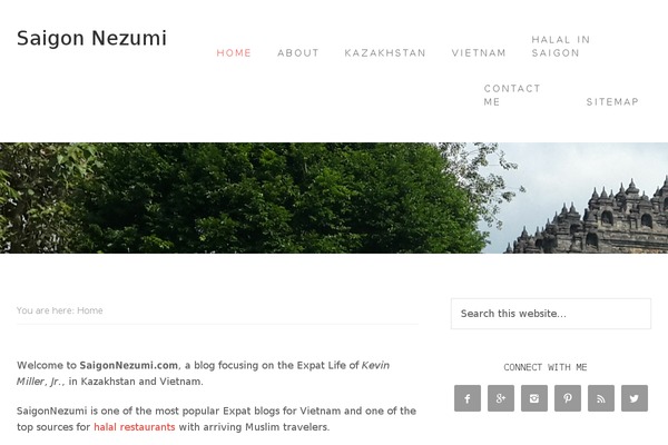 Site using Simple Social Icons plugin