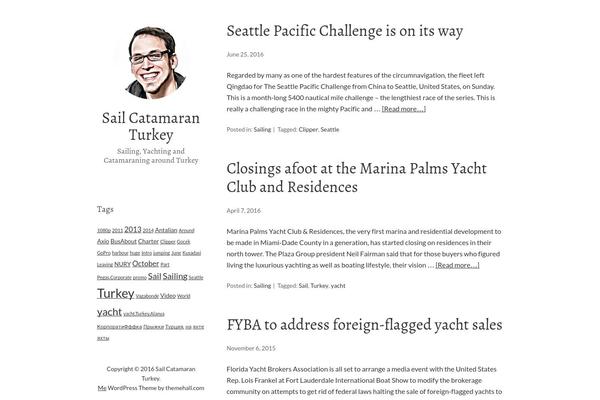 Silver-platinum theme site design template sample