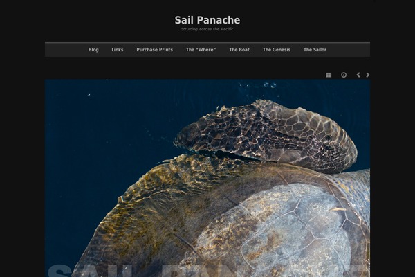 sailpanache.com site used Focal-point