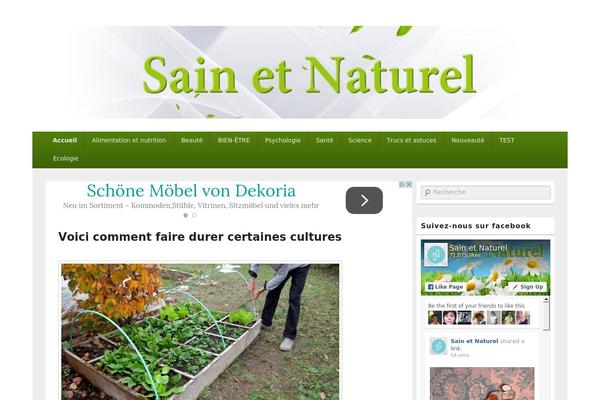 Seomag theme site design template sample