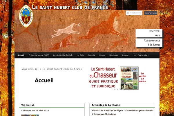 Twentyelevenchild theme site design template sample