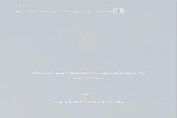Mf-child theme site design template sample