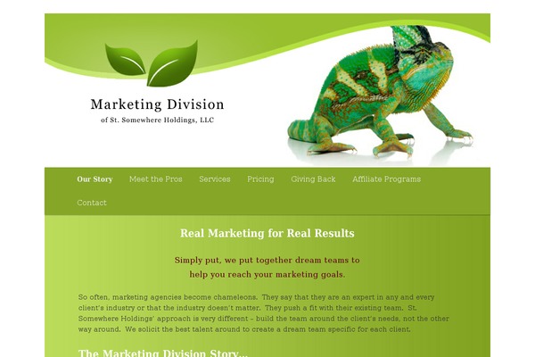 Site using CPO Widgets plugin