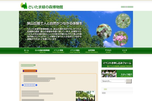 Refreshing theme site design template sample