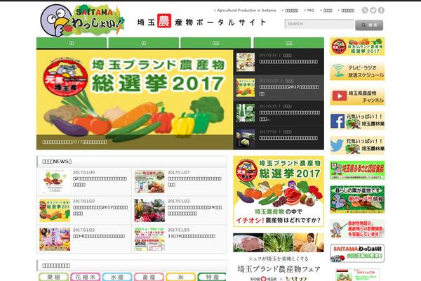 Opinion_tcd018 theme site design template sample