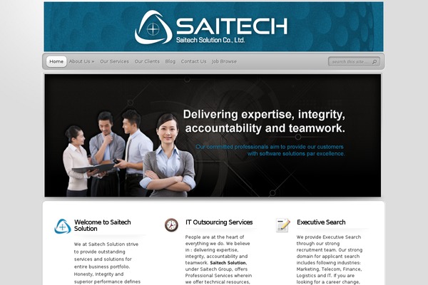 TheProfessional theme site design template sample