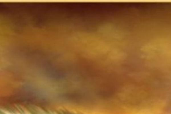 parament-child theme websites examples