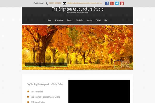 Theron Lite theme site design template sample