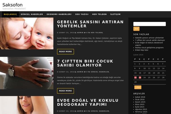 Sundance theme site design template sample
