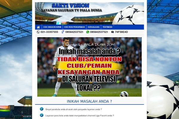 Wptoko theme site design template sample