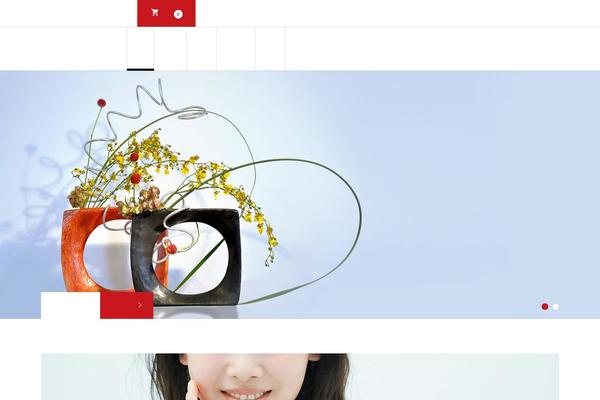 iconic_tcd062 theme websites examples