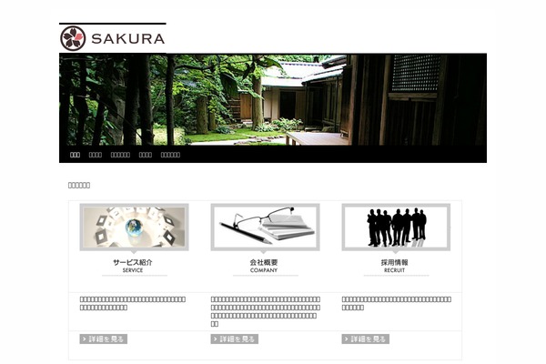 Twenty Ten theme site design template sample