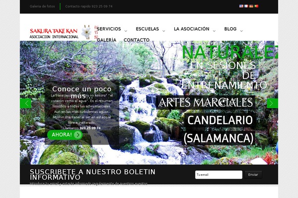 Site using Email newsletter plugin