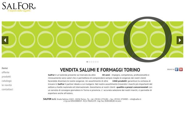 salfor theme websites examples