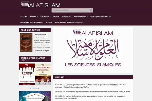 Allegro theme site design template sample