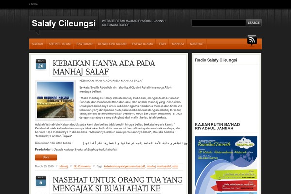 Newswire theme site design template sample