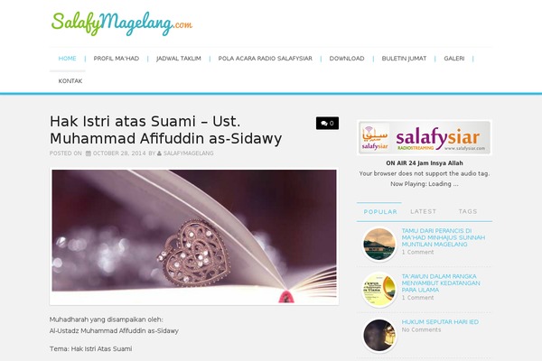Simply-VisiOn theme site design template sample