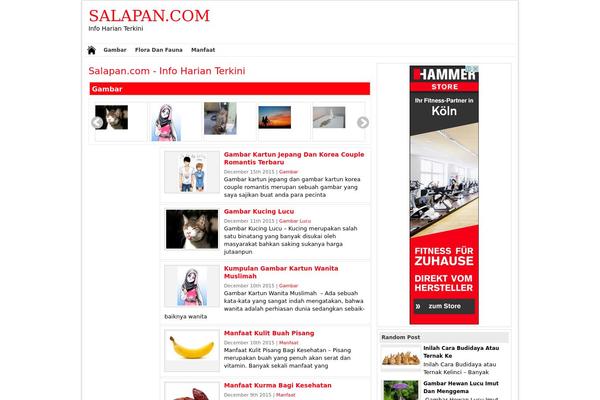 Newswp theme site design template sample