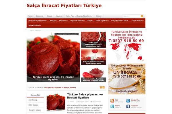 Resizable theme site design template sample
