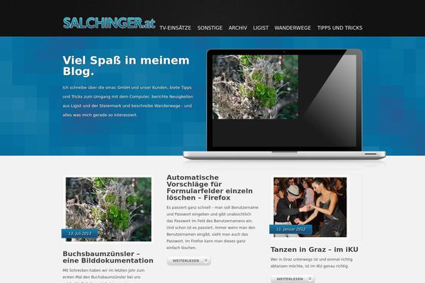 salchinger.at site used Devision
