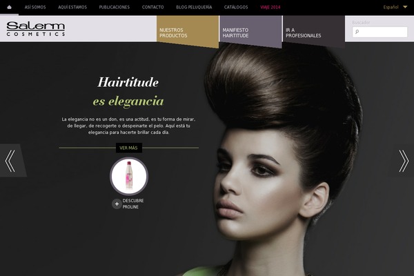 salerm theme websites examples