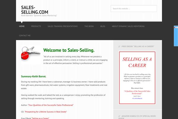 Streamline Pro theme site design template sample