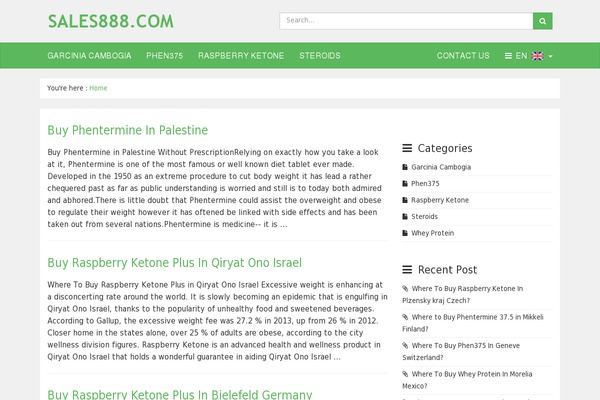 Sales theme site design template sample