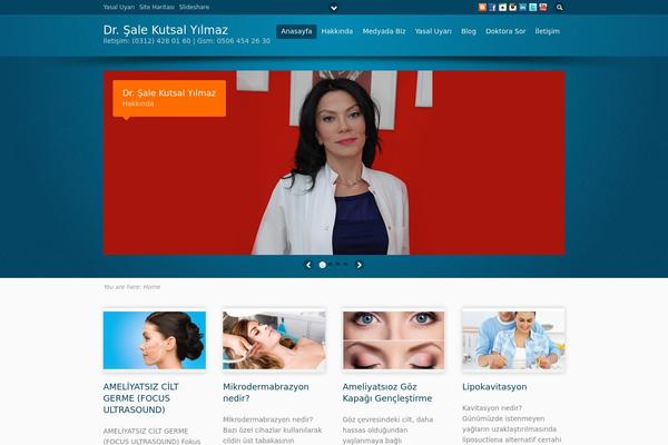 Flare theme site design template sample
