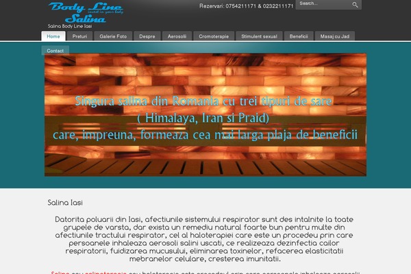 PureVISION theme site design template sample