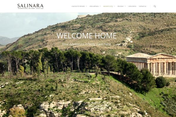 Salient theme site design template sample