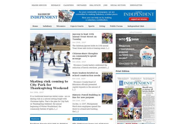 Newswire theme site design template sample