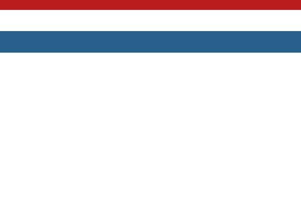 Site using Medizco-essential plugin