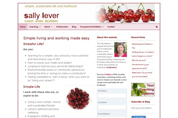 Site using Jetpack by WordPress.com plugin