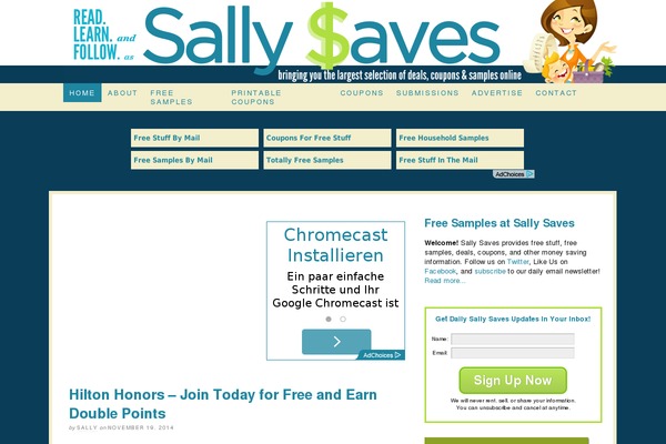 sallysaves.com site used Thesis 1.8