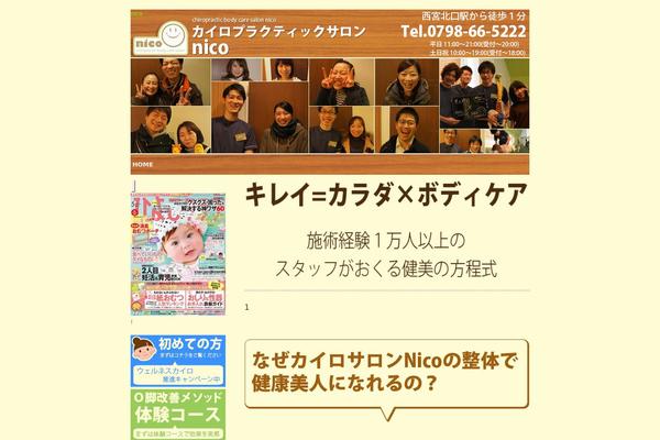 Nico theme site design template sample