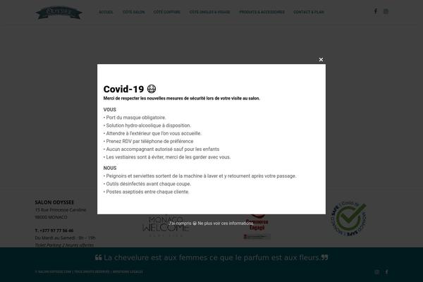 Brooklyn theme site design template sample