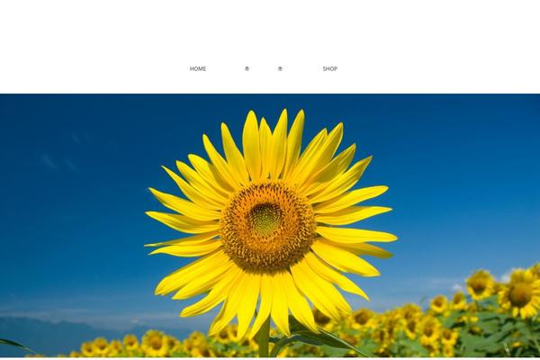 Site using Pochipp plugin