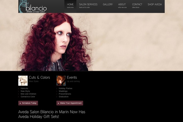 Duotive Two theme site design template sample