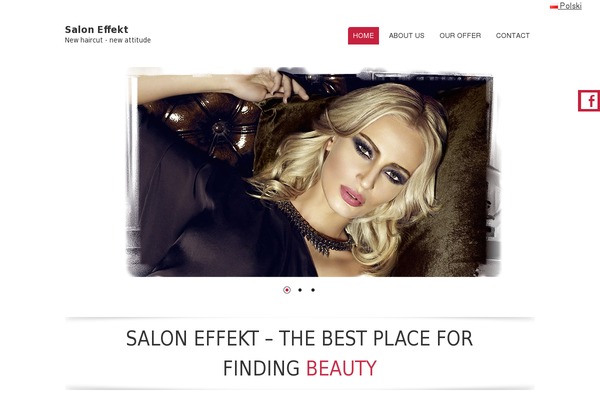 saloneffekt.com site used Fruitful