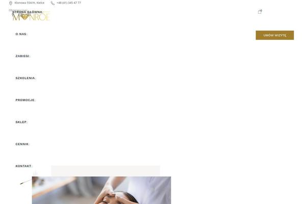 Reina theme site design template sample