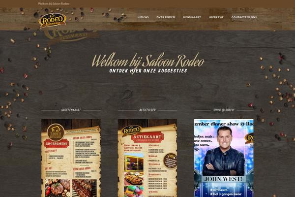 Chicago theme site design template sample