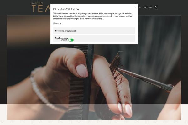 saloonteam.com site used Luxury-spa