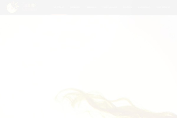 Site using Facebook Events Importer plugin