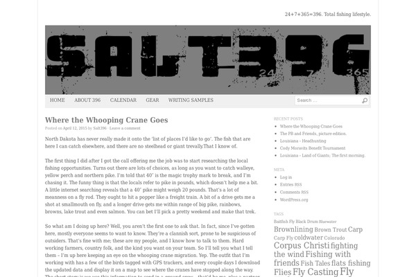 Basically theme site design template sample